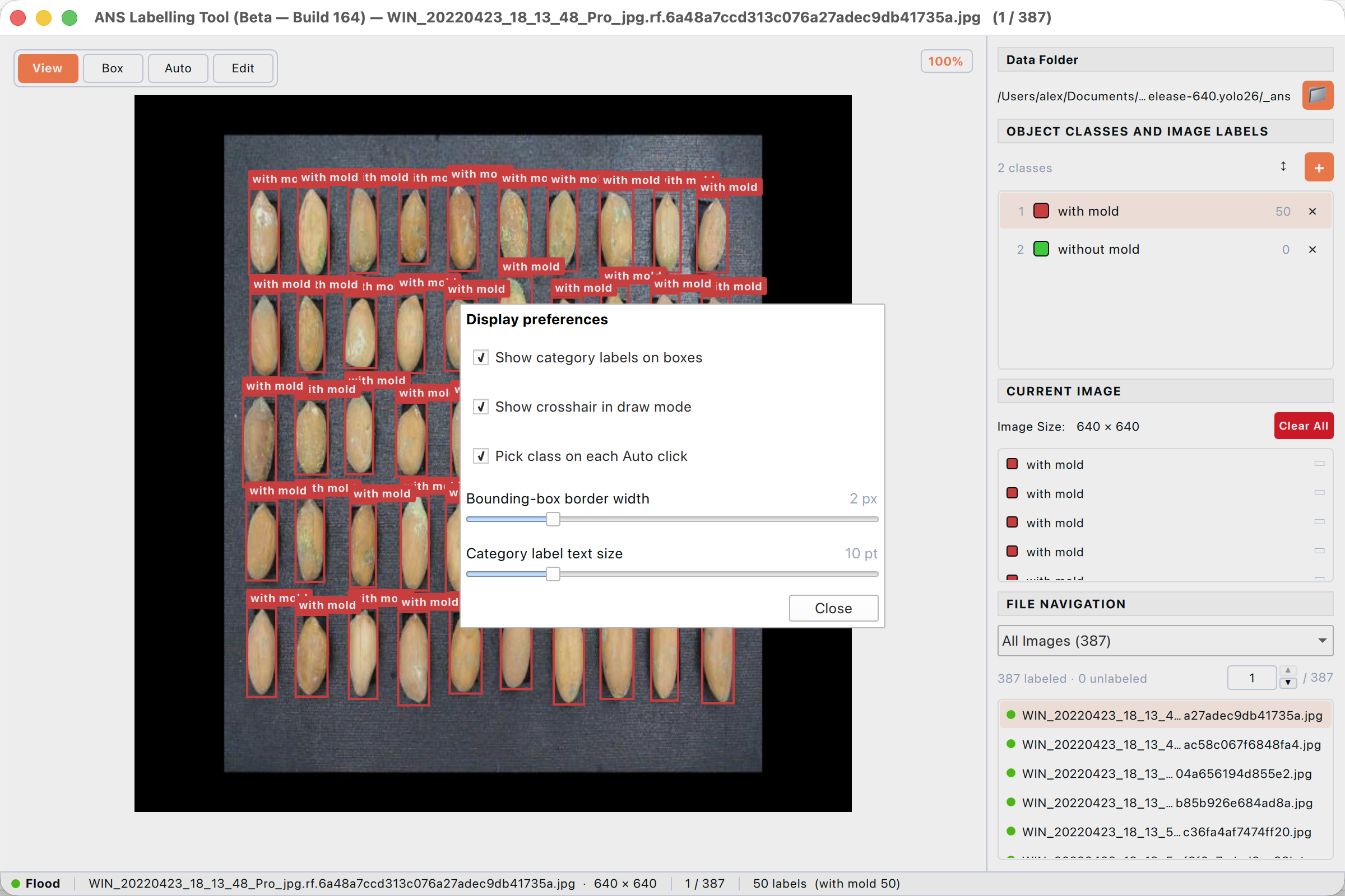 Display preferences — control how labels are rendered on the canvas.